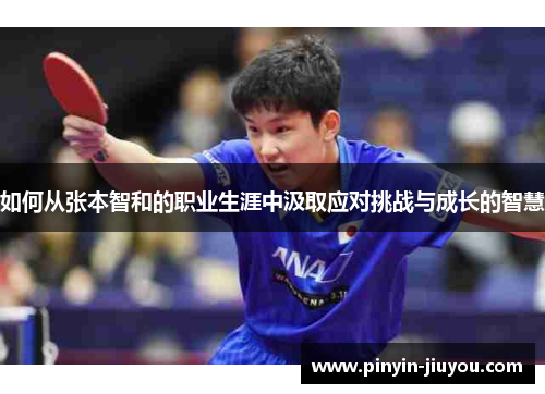 如何从张本智和的职业生涯中汲取应对挑战与成长的智慧