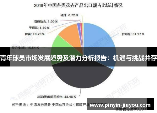 青年球员市场发展趋势及潜力分析报告：机遇与挑战并存