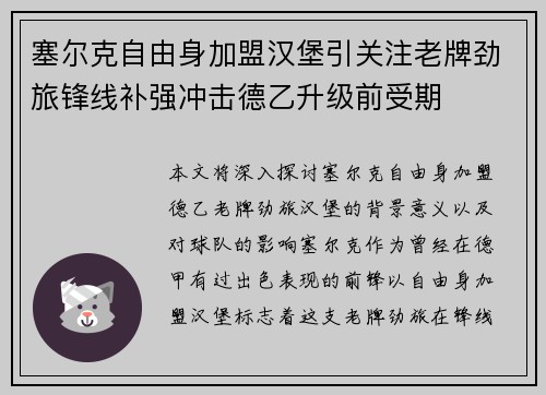 塞尔克自由身加盟汉堡引关注老牌劲旅锋线补强冲击德乙升级前受期